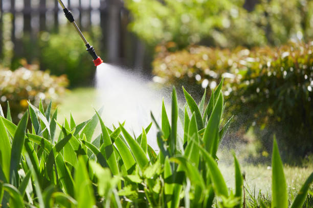 Void Injection for Cockroach Colonies in Lake Butler