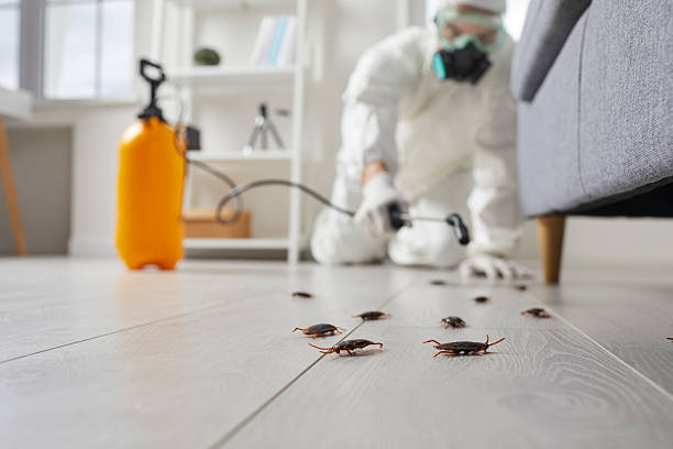 Commercial Kitchen Cockroach Control in Lake Butler